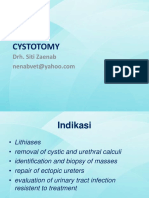 02 Cystotomy