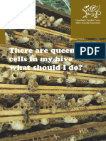 There Are Queen Cells in My Hive WBKA WAG PDF