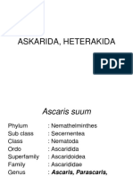 LIFE CYCLE OF PARASCARIS EQUORUM