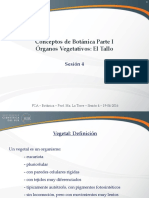Sesión 04 - Órganos Vegetativos - El Tallo.pdf
