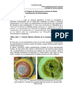 Complementos-Teoricos-Postcosecha-2017 (1).pdf