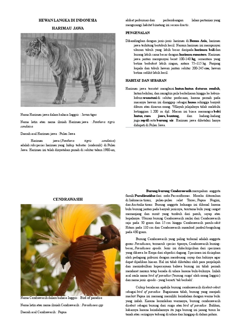 96 Gambar Hewan Reptil Dan Nama Latinnya Terbaik
