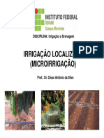 10 - Irrigação Localizada