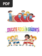 SsM- Planificare detaliata