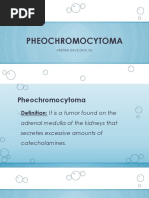 PHEOCHROMOCYTOMA