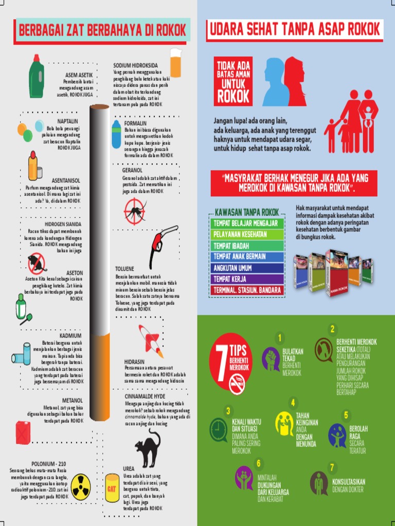 Bahaya Zat Beracun dalam Rokok | PDF
