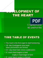 Development of Heart 