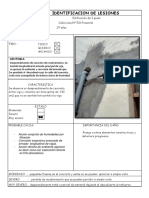 FICHA DE IDENTIFICACION DE LESIONES 2016 I (1).docx