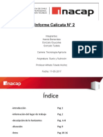 Informe Final Calicata