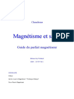 EBOOK Magnetisme et Sante.pdf