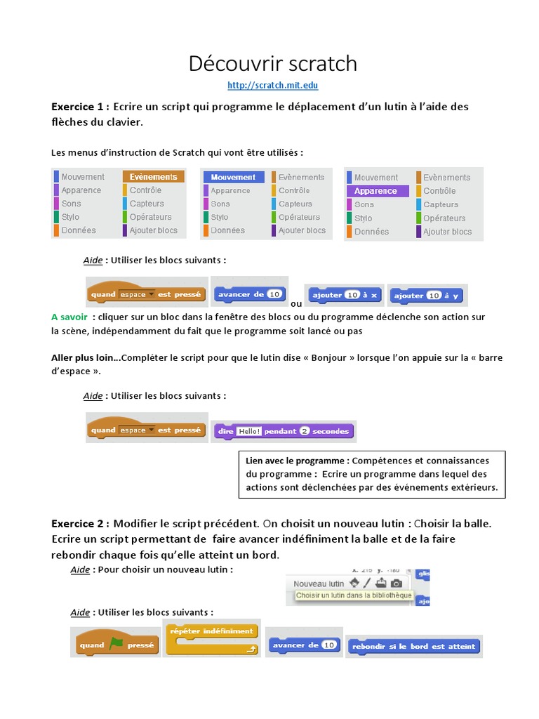 Prise Scratch | PDF | Loisirs | Informatique et technologies de l ...