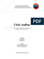 Ciclo_Andino.pdf