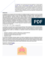 Irritabilidad biologia.docx