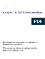 Chapter 11: Cell Communication