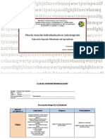 Plan de Atención Individualizada