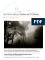 Jenis-Jenis Kabut + Gambar Dan Penjelasan PDF