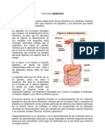 PROCESO DIGESTIVO.pdf