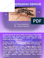 Demam Berdarah Dengue Tunas