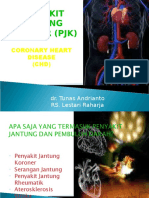 Jantung Koroner Tunas