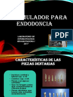 Simulador Para Endodoncia 2017 (1)