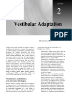 Vestibular Adaptation: Recalibration, Substitution, and Alternative Strategies
