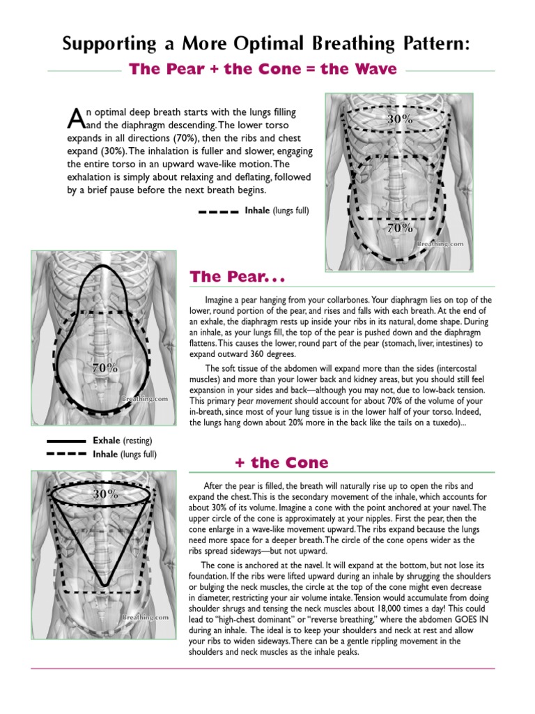 Pear Cone Wave | PDF | Breathing | Exhalation