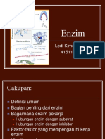 Enzim