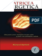 Matricea Energetica - Matrix Energetics - Richard Bartlett
