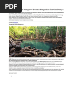 Download kliping hutan bakau by Patima SN362198264 doc pdf