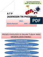 ATP (Adenosin Tri Phosphat) : Oleh: Shinta Ramani NIM: 15334765