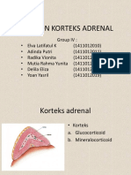 Korteks Adrenal
