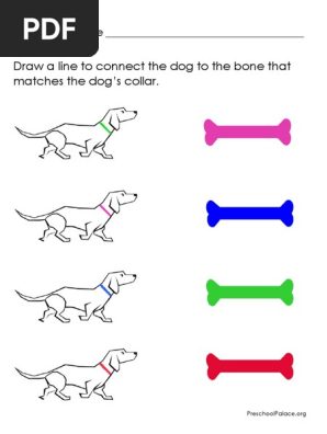 Colors - Dog Bone Match