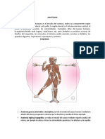 Anatomia Sistema Oseo