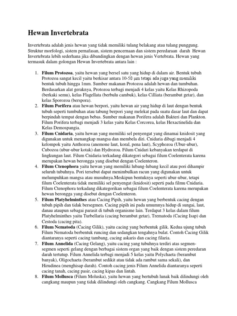 1060+ Perhatikan Gambar Hewan Invertebrata Berikut Terbaru