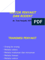 Vektor Penyakit