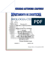 COLORACION 2.pdf