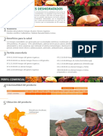Ficha-comercial-Hongo.pdf