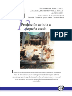 Producción Avícola.pdf