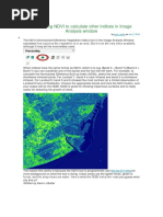 Leveraging NDVI To Calculate Other Indices in Image Analysis Window