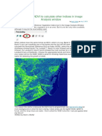 Leveraging NDVI To Calculate Other Indices in Image Analysis Window