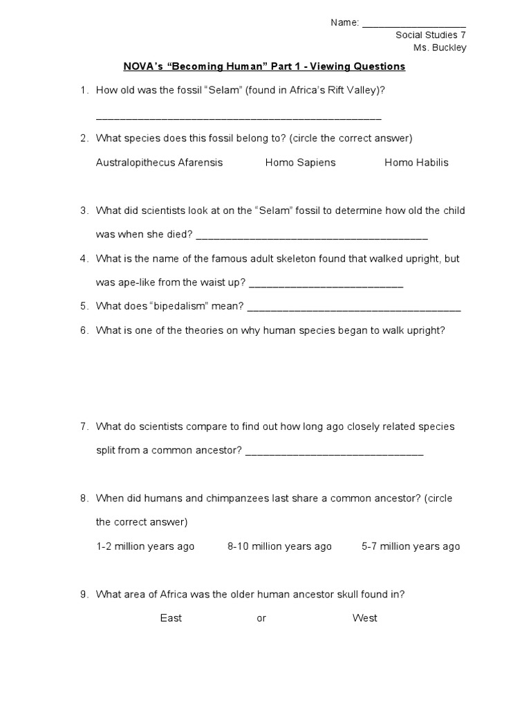 worksheet Becoming Human Worksheet nova becoming human viewing questions part 1
