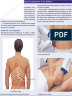 Assessment of Kidneys PDF