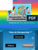 Tipos de Discapacidad FINAL