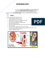 Infección Urinaria o Cistitis
