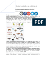 Son Las Plantas Biocidas La Solución a Tus Problemas de Desinfección