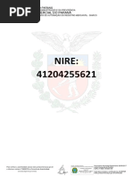 Pesquisa de Nire-176826378