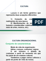 Cultura Organizacional Paradigmas, Conceitos, Elementos e Dinâmica - Parte I PDF