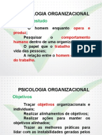 Suporte organizacional.pdf