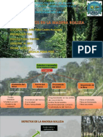 TEMA 12 Defectos en La Madera Rolliza PDF