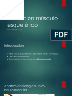 Excitación Músculo Esquelético